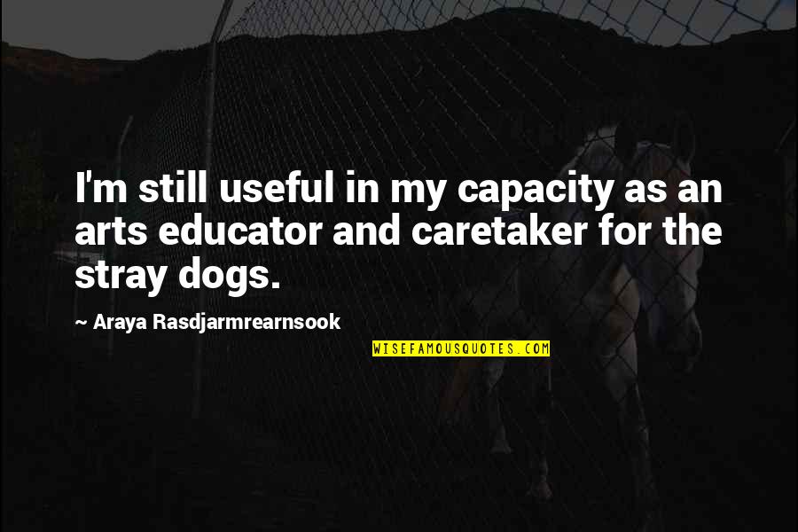 Dog Stray Quotes By Araya Rasdjarmrearnsook: I'm still useful in my capacity as an