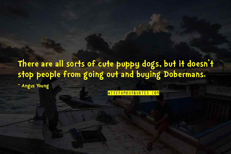 Dogs Quotes By Angus Young: There are all sorts of cute puppy dogs,