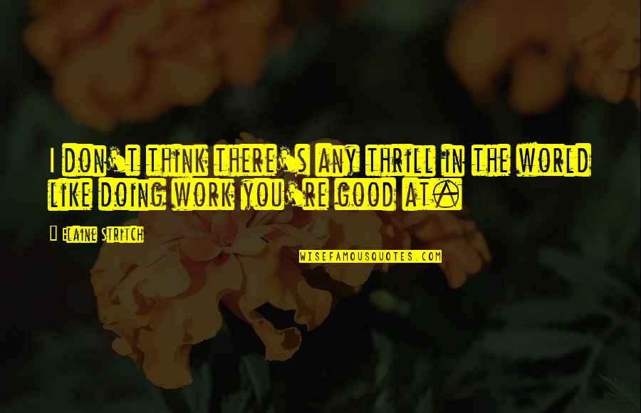 Doing Good Work Quotes By Elaine Stritch: I don't think there's any thrill in the