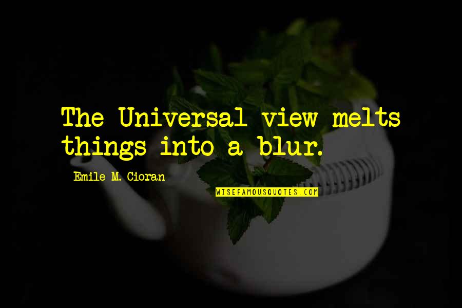 Dolvin School Quotes By Emile M. Cioran: The Universal view melts things into a blur.