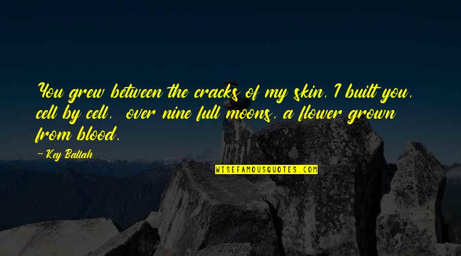 Domein Raversijde Quotes By Key Ballah: You grew between the cracks of my skin,