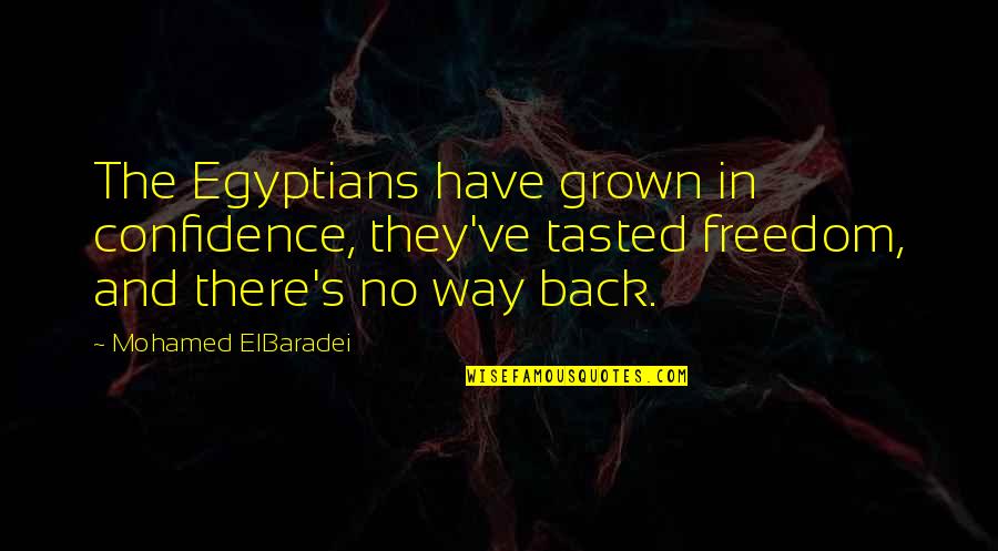 Domiciles Homophones Quotes By Mohamed ElBaradei: The Egyptians have grown in confidence, they've tasted