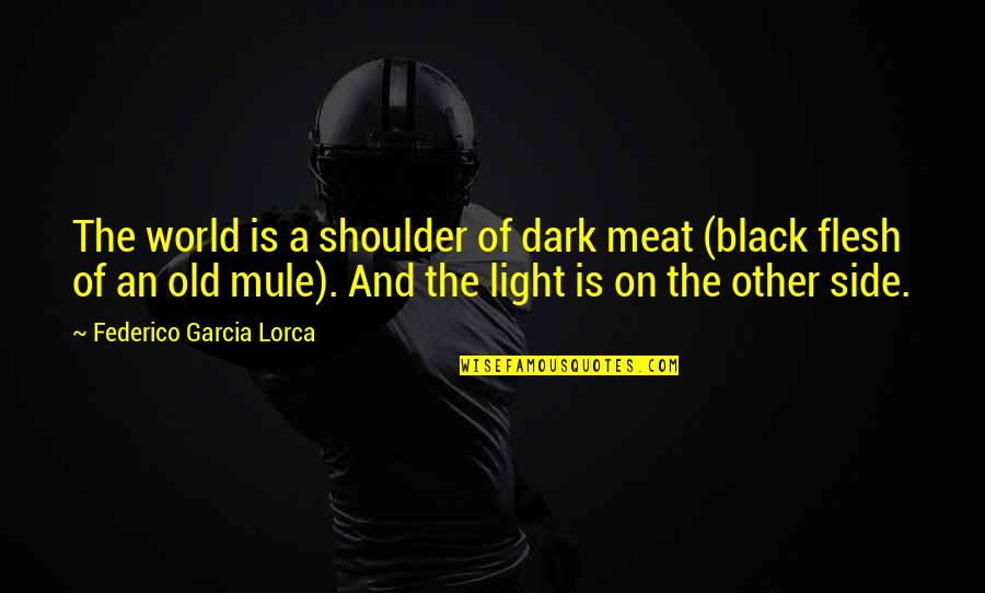 Done Being Stepped On Quotes By Federico Garcia Lorca: The world is a shoulder of dark meat