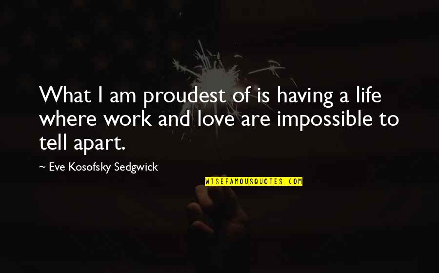 Dont Blame Me For Your Mistakes Quotes By Eve Kosofsky Sedgwick: What I am proudest of is having a