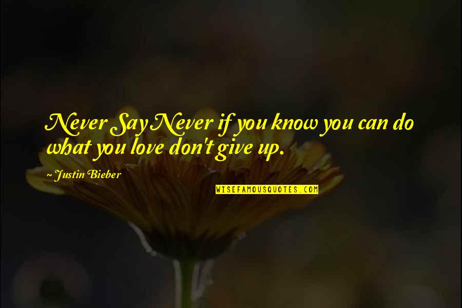 Don't Do Love Quotes By Justin Bieber: Never Say Never if you know you can