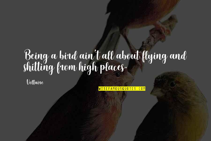 Dont Force Others Quotes By Voltaire: Being a bird ain't all about flying and