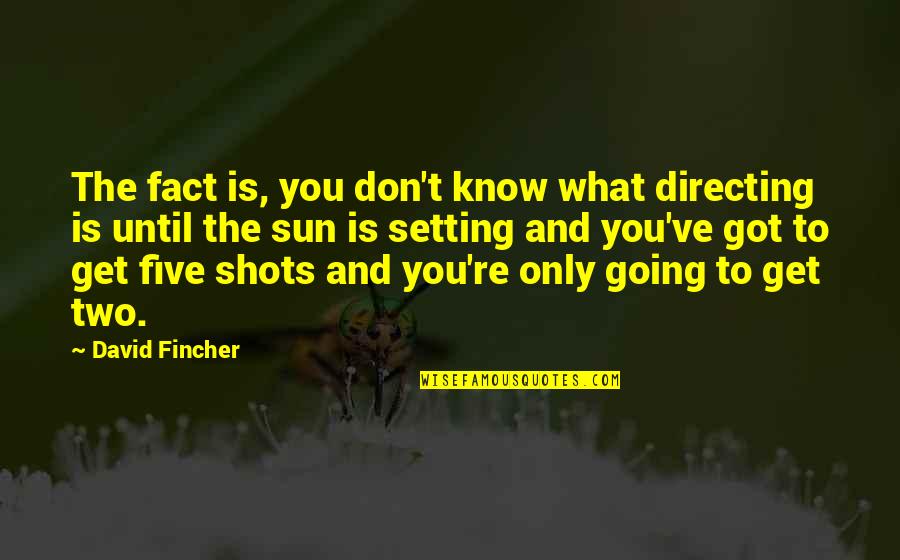 Don't Know What You Got Quotes By David Fincher: The fact is, you don't know what directing