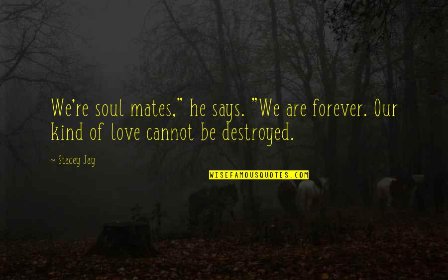 Don't Wait For Change Quotes By Stacey Jay: We're soul mates," he says. "We are forever.