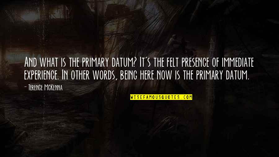 Dont Worry About Anyone Else Quotes By Terence McKenna: And what is the primary datum? It's the