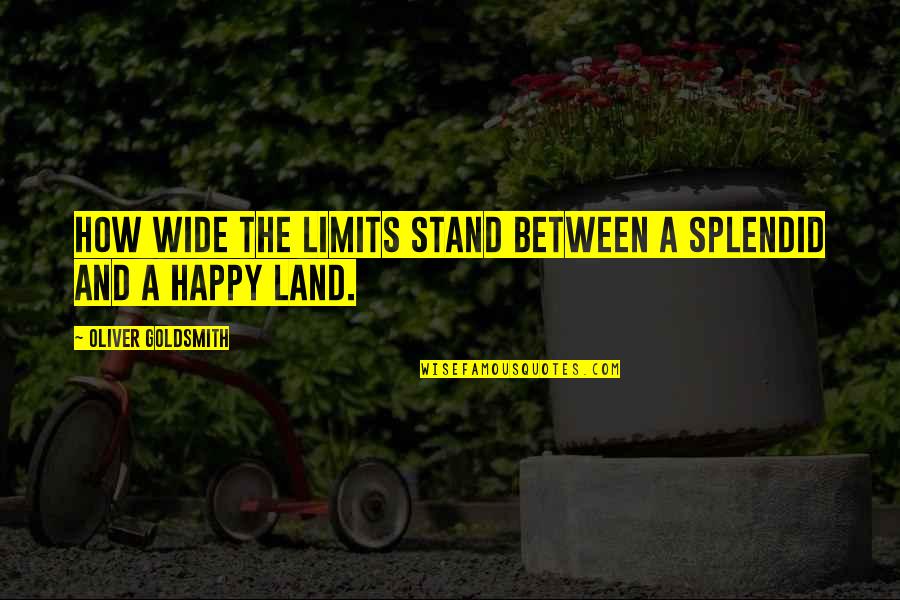 Donya Consolacion Quotes By Oliver Goldsmith: How wide the limits stand Between a splendid