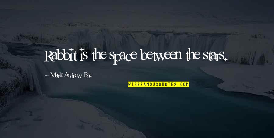 Doostang Quotes By Mark Andrew Poe: Rabbit is the space between the stars.