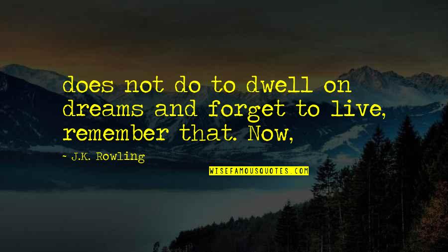 Doozy Quotes By J.K. Rowling: does not do to dwell on dreams and