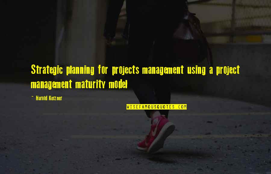 Dorogi Banyasz Quotes By Harold Kerzner: Strategic planning for projects management using a project