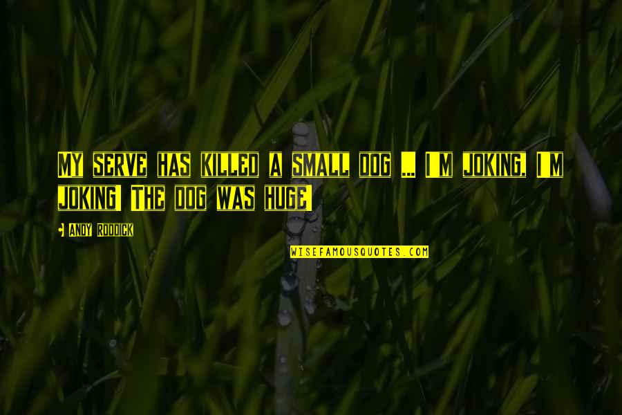 Dorsolateral Quotes By Andy Roddick: My serve has killed a small dog ...