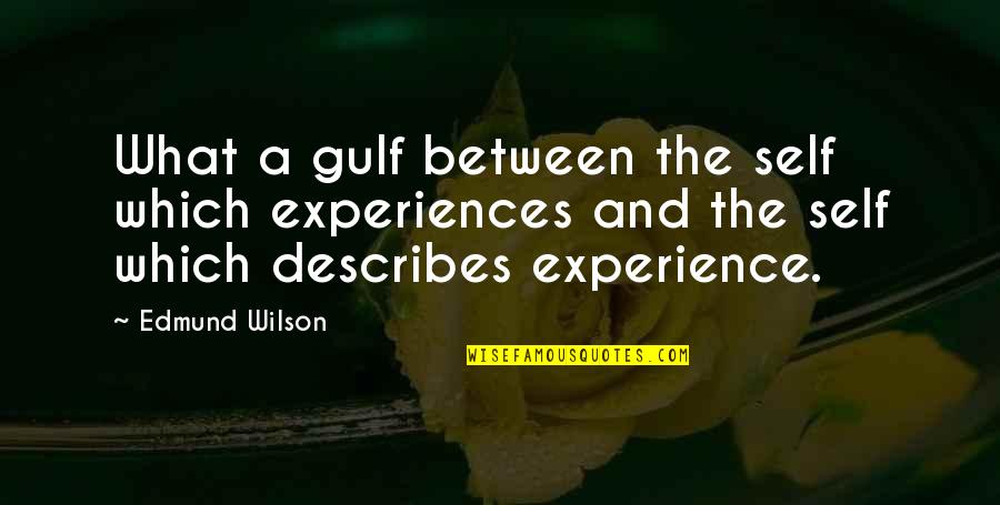 Dos Equis Man Halloween Quotes By Edmund Wilson: What a gulf between the self which experiences