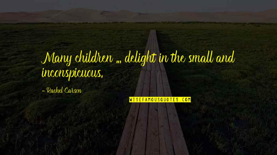 Doting Quotes By Rachel Carson: Many children ... delight in the small and