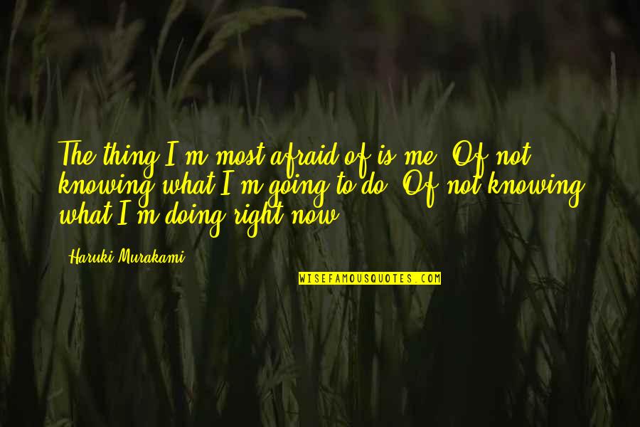 Dottrina Per Il Quotes By Haruki Murakami: The thing I'm most afraid of is me.