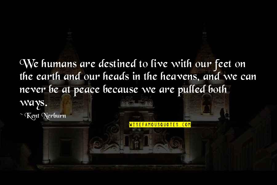 Douillette De Lit Quotes By Kent Nerburn: We humans are destined to live with our