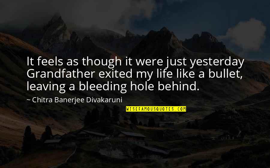 Drama Life Quotes By Chitra Banerjee Divakaruni: It feels as though it were just yesterday