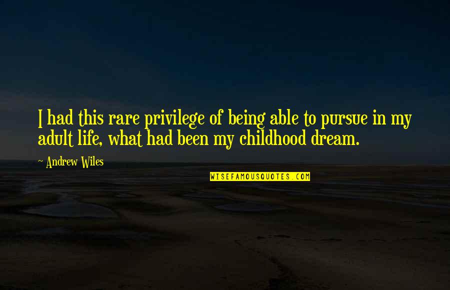 Dream My Life Quotes By Andrew Wiles: I had this rare privilege of being able