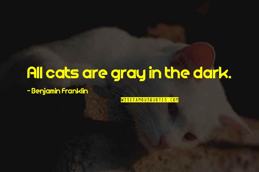 Dream Satin Quotes By Benjamin Franklin: All cats are gray in the dark.
