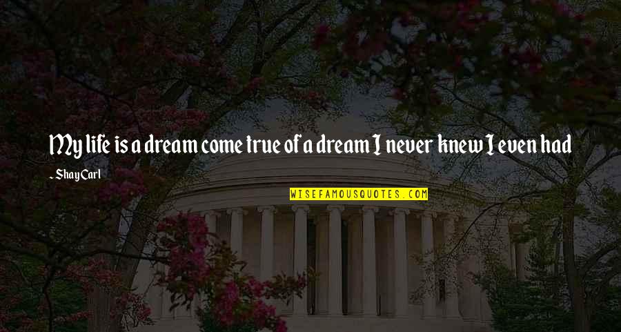 Dreams Never Come True Quotes By Shay Carl: My life is a dream come true of