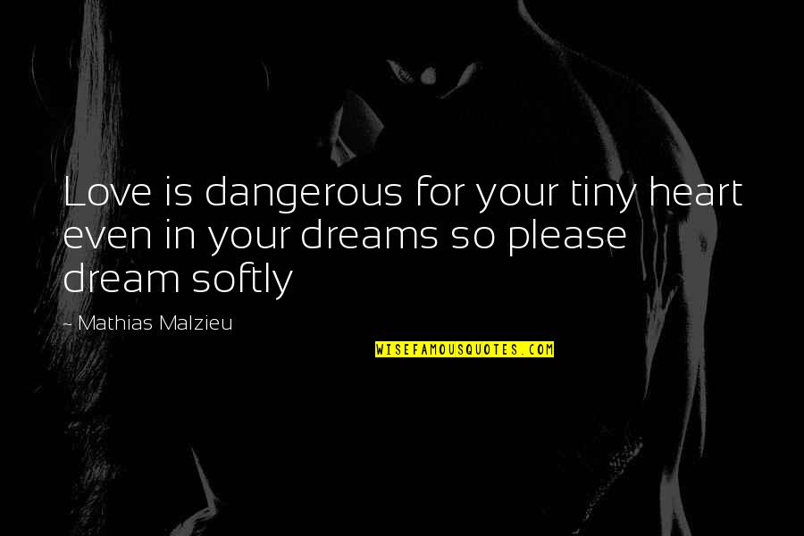 Dreams Over Love Quotes By Mathias Malzieu: Love is dangerous for your tiny heart even