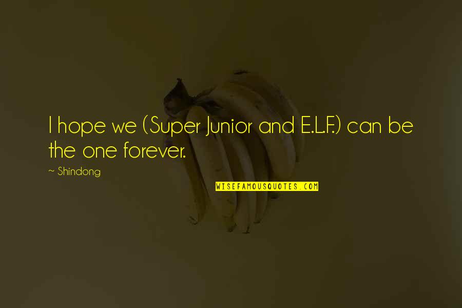 Dresden Files Mouse Quotes By Shindong: I hope we (Super Junior and E.L.F.) can