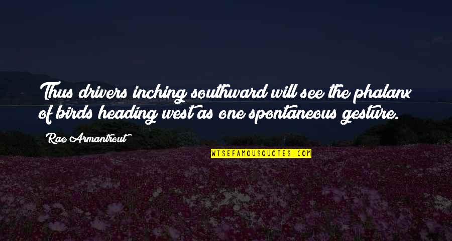 Drivers Etc Quotes By Rae Armantrout: Thus drivers inching southward will see the phalanx