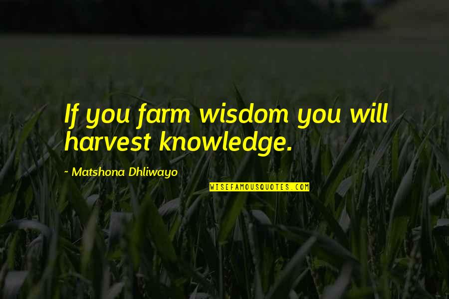 Drivetime Inventory Quotes By Matshona Dhliwayo: If you farm wisdom you will harvest knowledge.