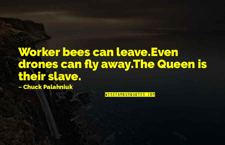 Drones Quotes By Chuck Palahniuk: Worker bees can leave.Even drones can fly away.The