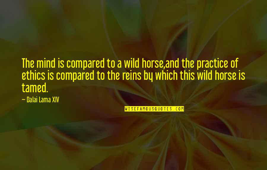 Duino Lk Quotes By Dalai Lama XIV: The mind is compared to a wild horse,and