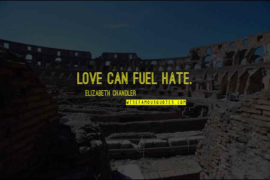 Dumbledore Room Of Requirement Quotes By Elizabeth Chandler: Love can fuel hate.