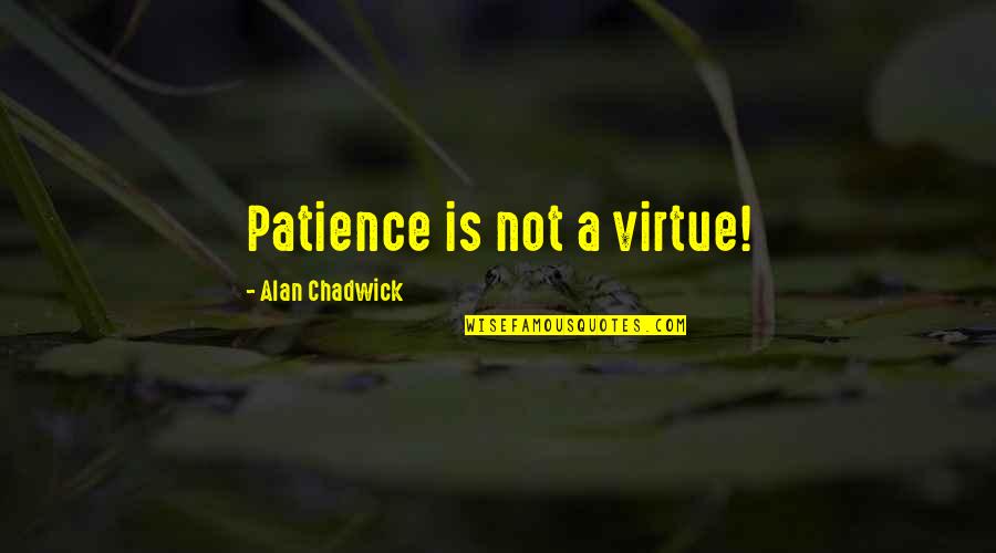 Dummkopf Translation Quotes By Alan Chadwick: Patience is not a virtue!