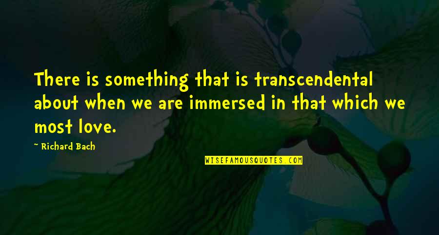 Durare Plant Quotes By Richard Bach: There is something that is transcendental about when