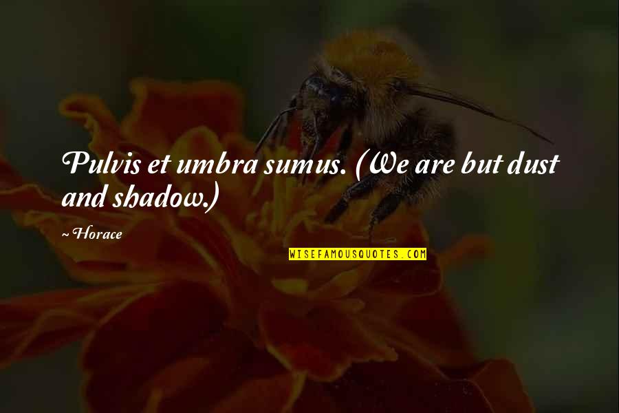 Dust Quotes By Horace: Pulvis et umbra sumus. (We are but dust