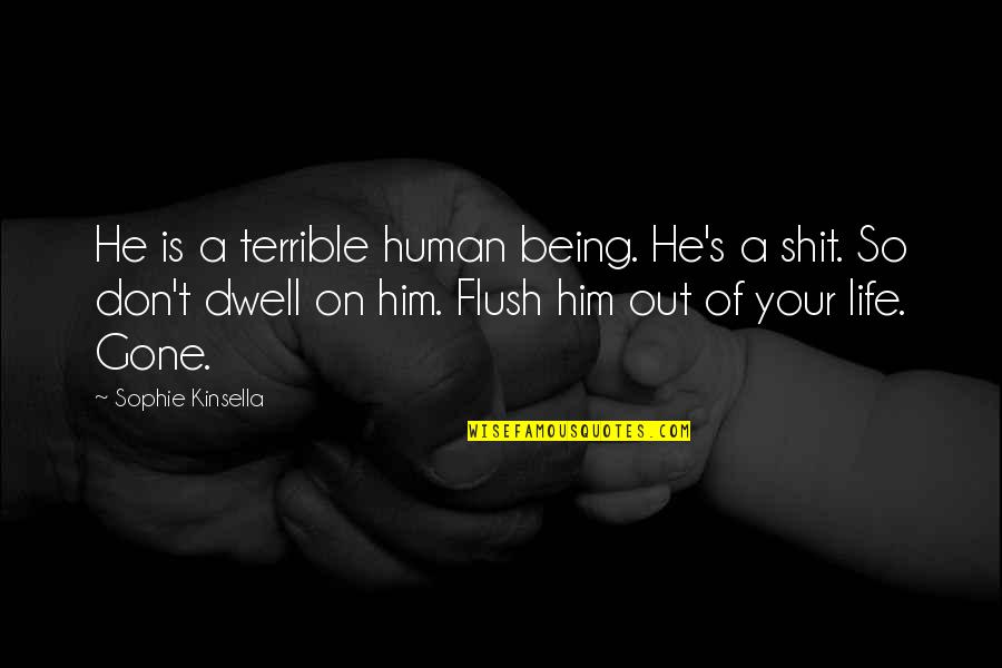 Dva Stock Quotes By Sophie Kinsella: He is a terrible human being. He's a