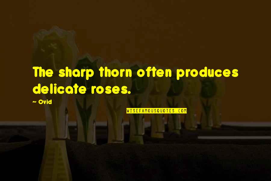 Dvoskin Dmitriy Quotes By Ovid: The sharp thorn often produces delicate roses.