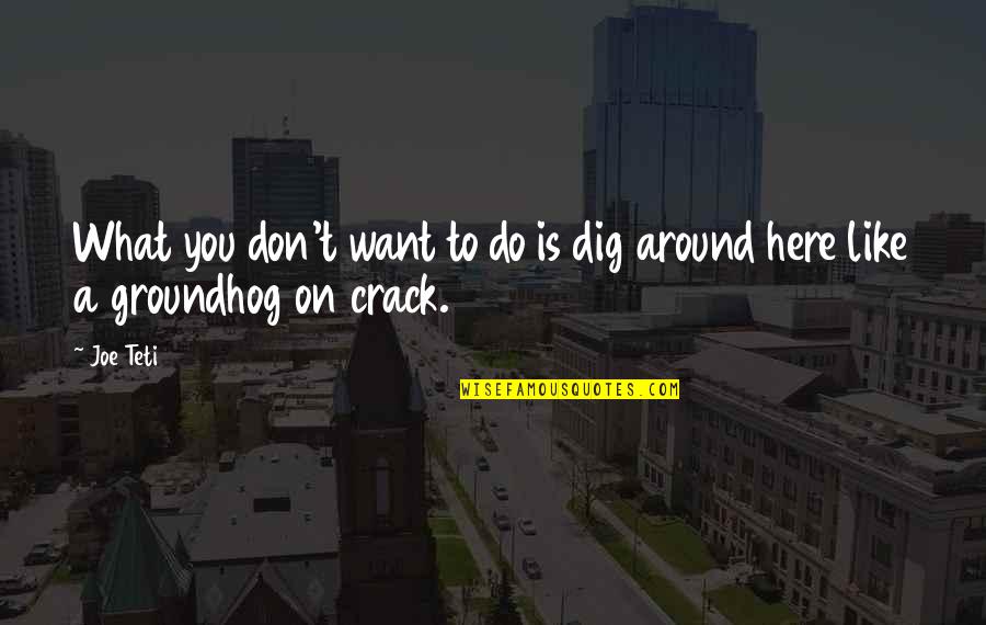 Dworcan Quotes By Joe Teti: What you don't want to do is dig