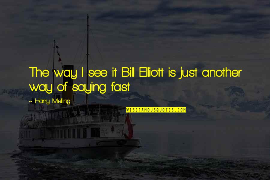 E T Elliott Quotes By Harry Melling: The way I see it Bill Elliott is