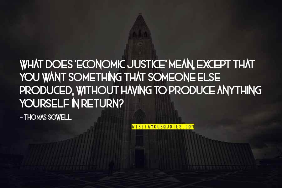 Economic Justice Quotes By Thomas Sowell: What does 'economic justice' mean, except that you