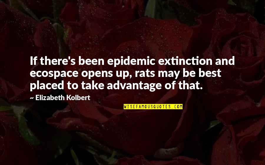 Ecospace Quotes By Elizabeth Kolbert: If there's been epidemic extinction and ecospace opens