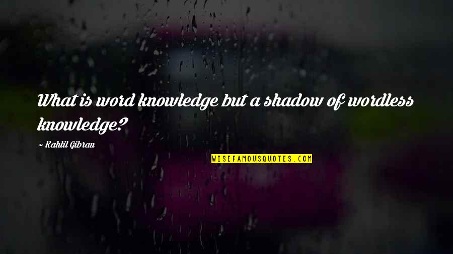 Editorial Makeup Quotes By Kahlil Gibran: What is word knowledge but a shadow of