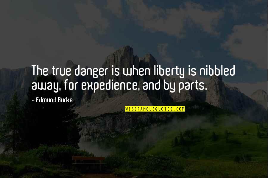 Edmund Burke Quotes By Edmund Burke: The true danger is when liberty is nibbled