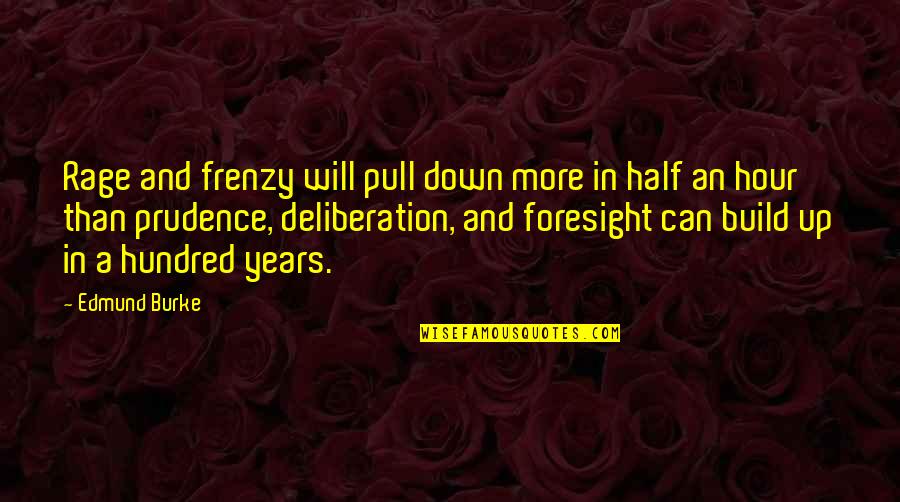 Edmund Burke Quotes By Edmund Burke: Rage and frenzy will pull down more in