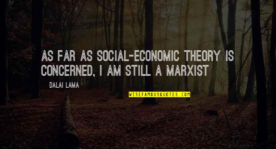 Educationally Related Quotes By Dalai Lama: As far as social-economic theory is concerned, I