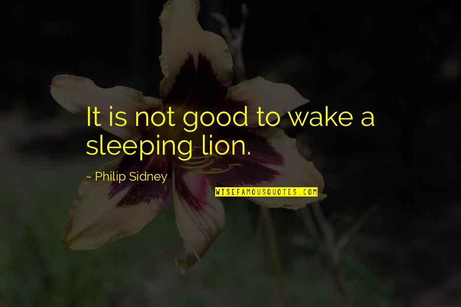 Effort Counts Quotes By Philip Sidney: It is not good to wake a sleeping