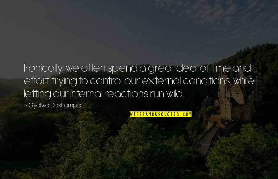 Effortless Destiny Quotes By Gyalwa Dokhampa: Ironically, we often spend a great deal of