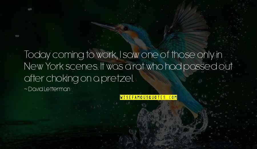 Eiheiji Quotes By David Letterman: Today coming to work, I saw one of