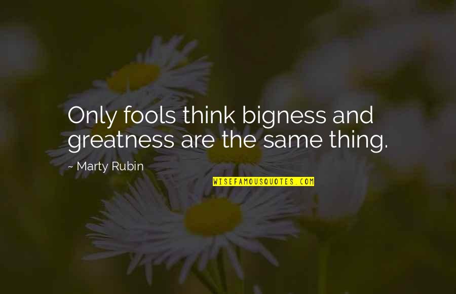Eisley Name Quotes By Marty Rubin: Only fools think bigness and greatness are the